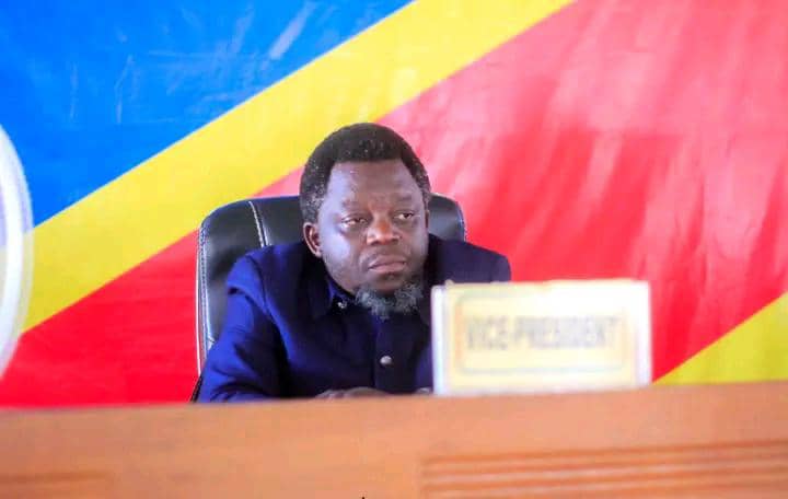Assemblée Provinciale de Lomami : 21 députés provinciaux votent pour la destitution du Vice-président pour immoralité